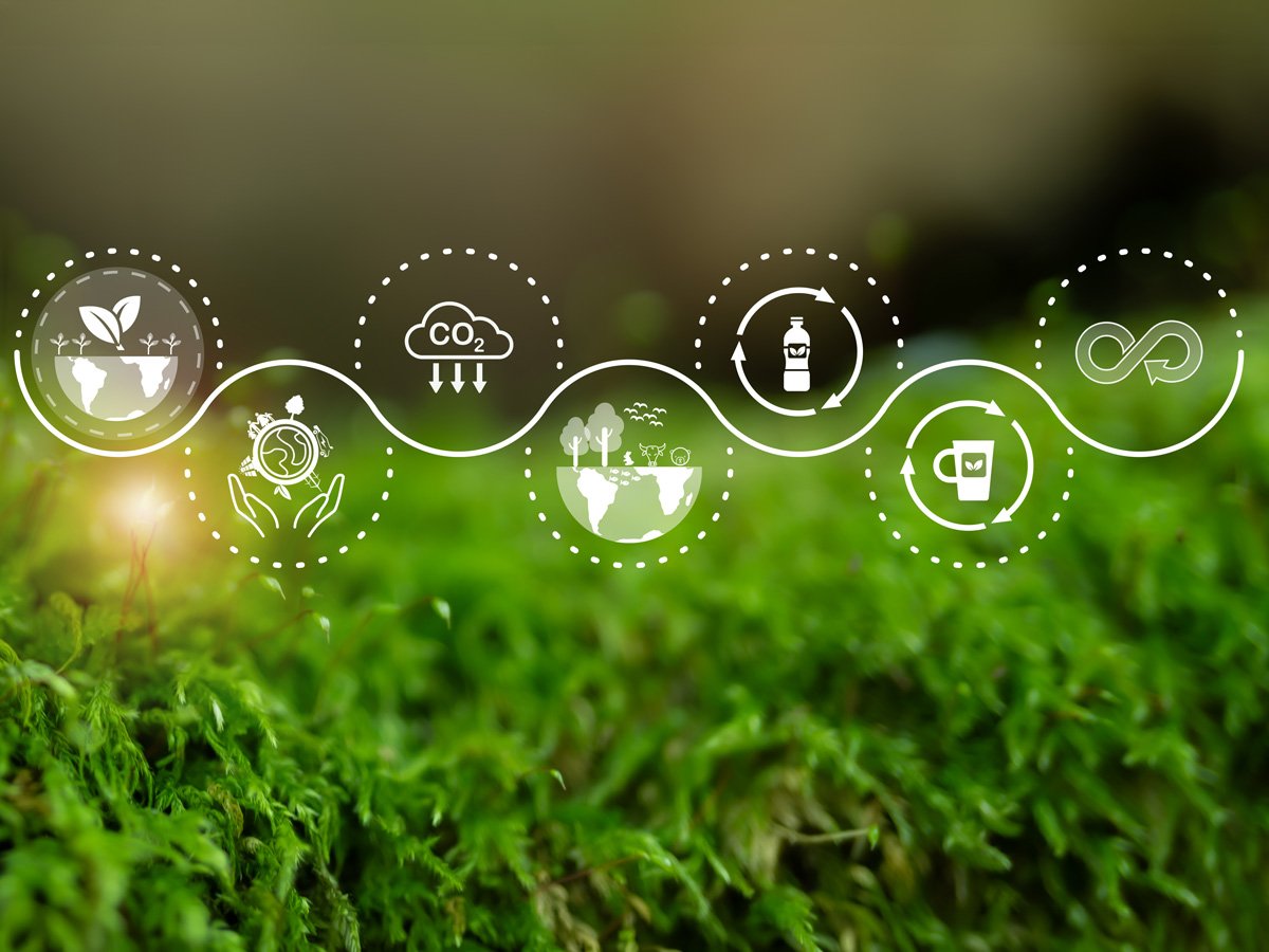 ]: Sustainable environment concept. World Environment Day, climate action, the importance of addressing biodiversity loss and plastic pollution to mitigate the effects of climate change.