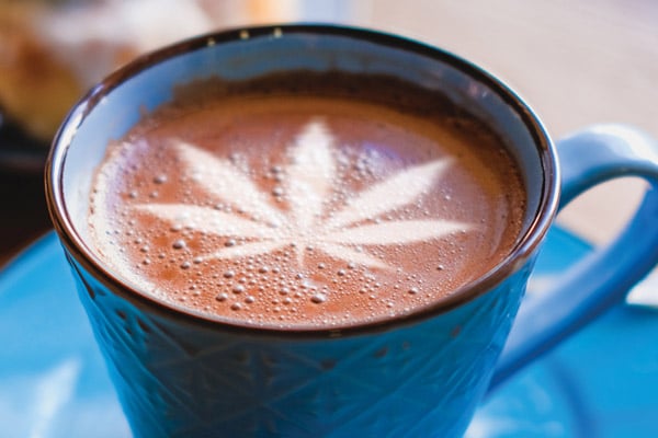 cannabis edibles