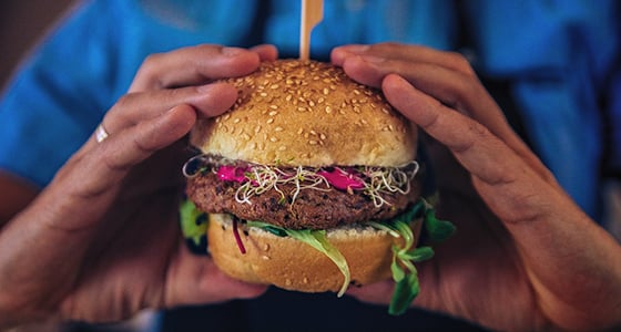 Plantbased Burger Blog X