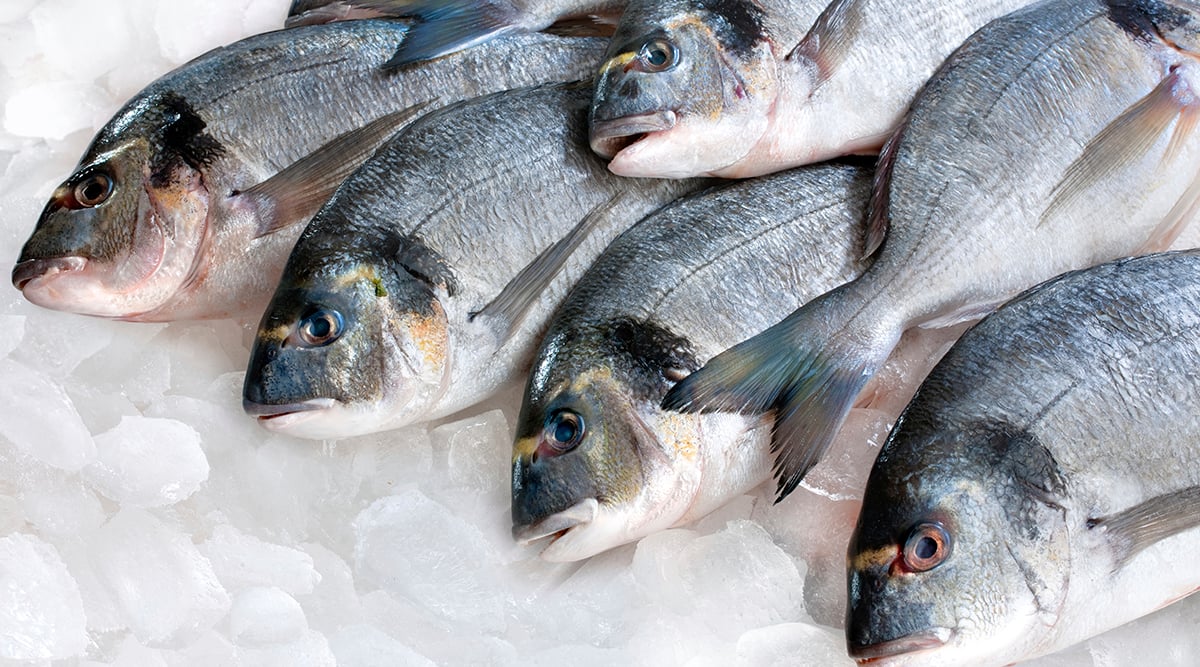 GFTC currently focused on seafood traceability