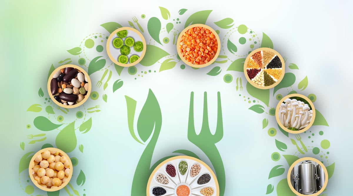 Plant-based foods
