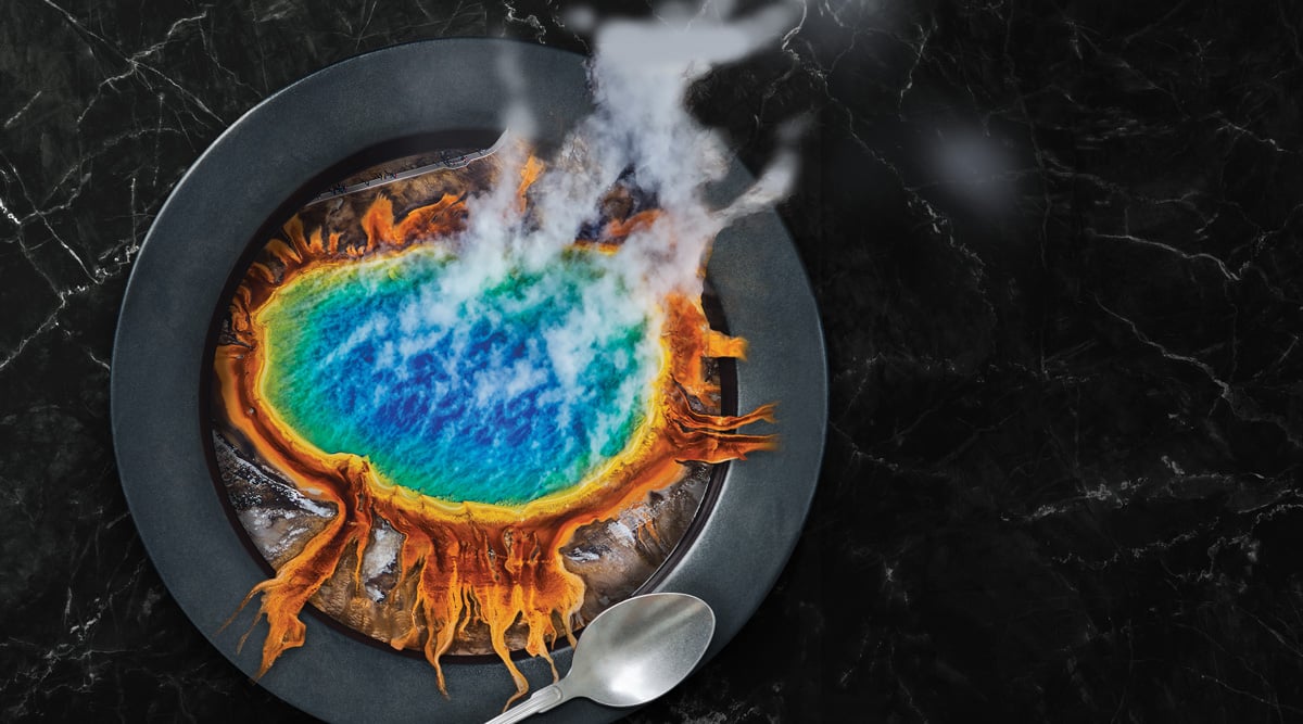 How Radical Innovation Will Shape the Future of Food