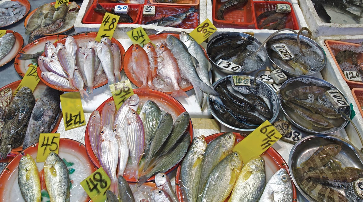 Wet Market Fish