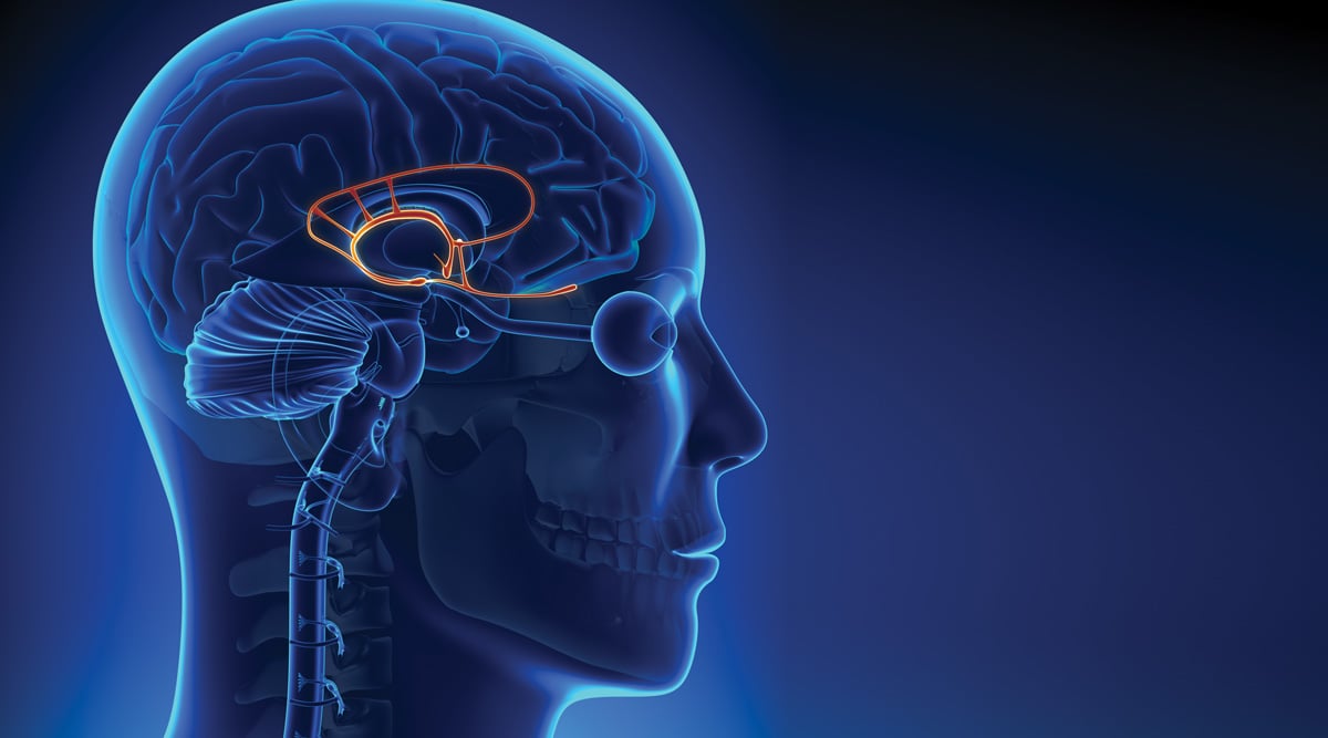 Brain in blue