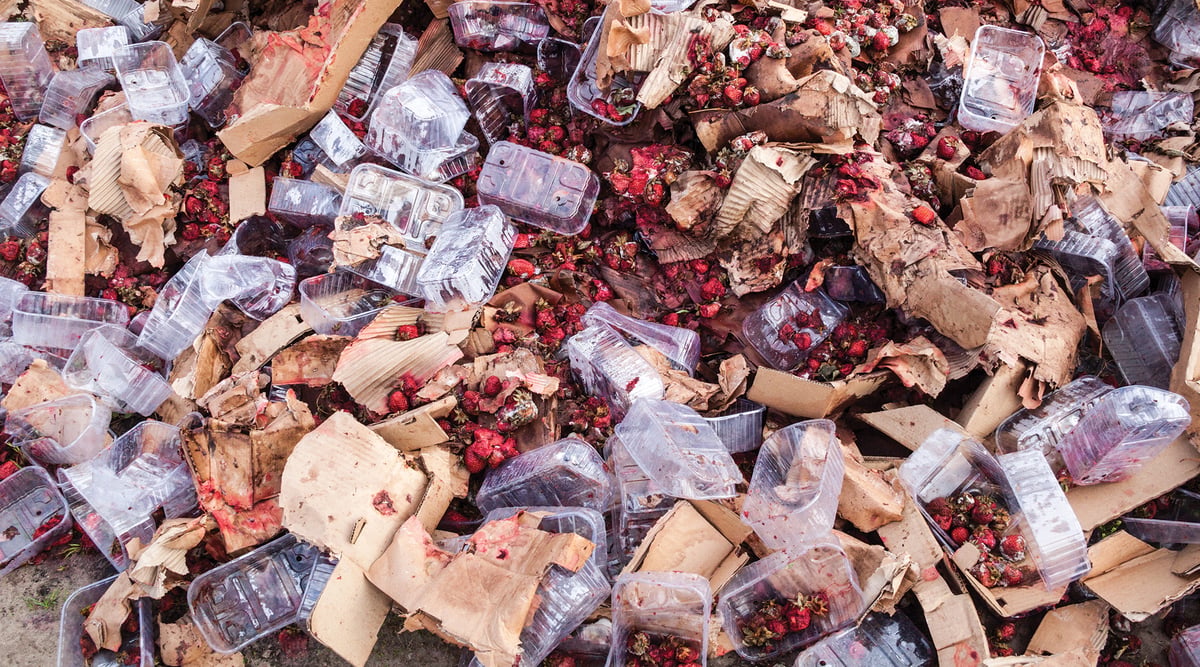 Food Waste