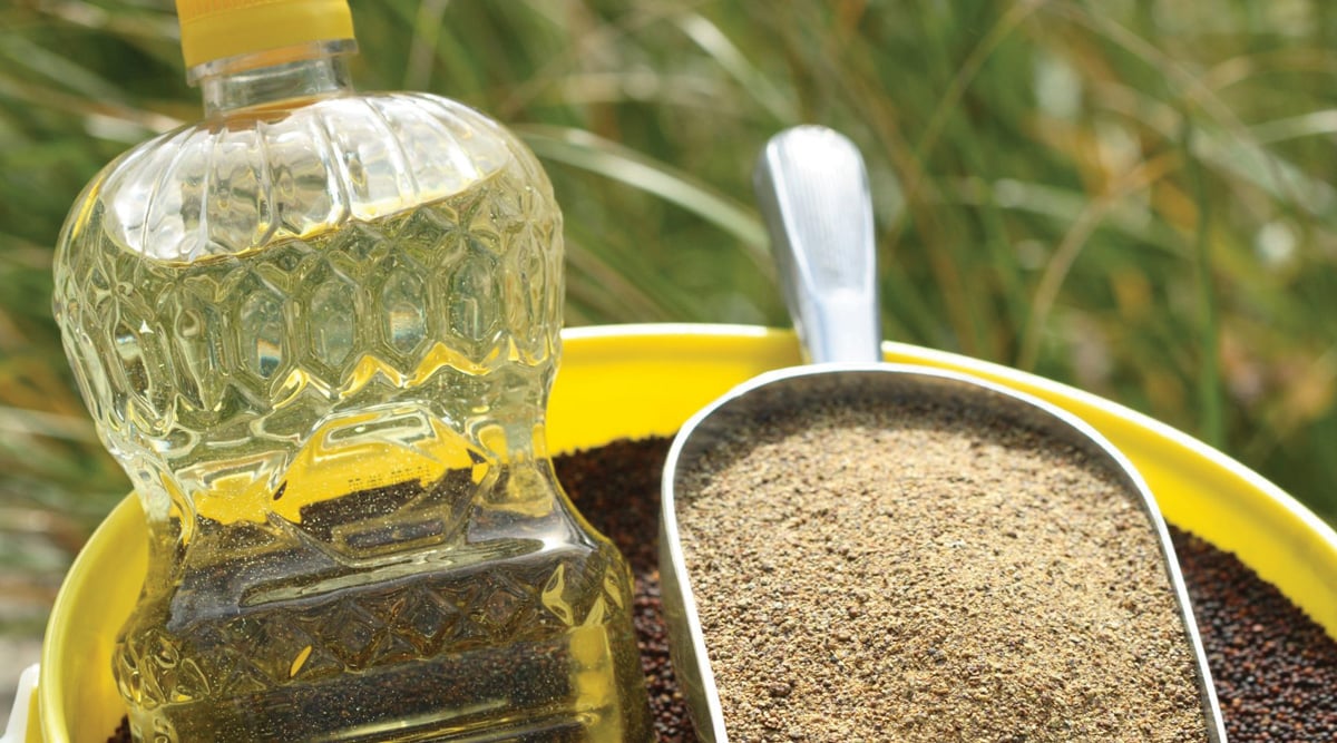 Canola oil