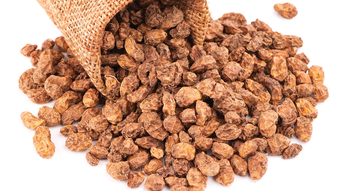 tigernut