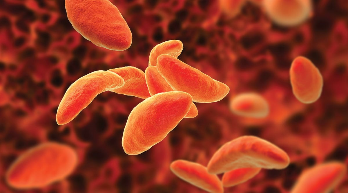 Microbes