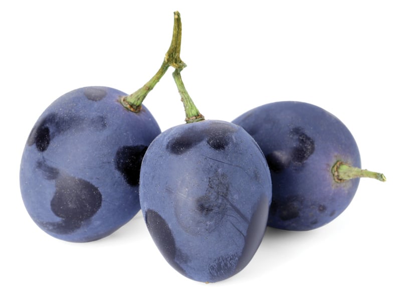 Grapes