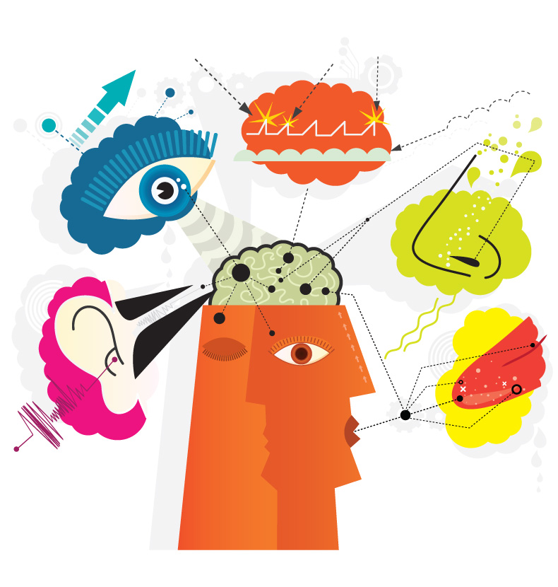 An Illustration of a Sensory Perception: showing a Five Human Senses: sense of Smell, sense of Taste, sense of Touch, sense of Hearing and sense of Sight.