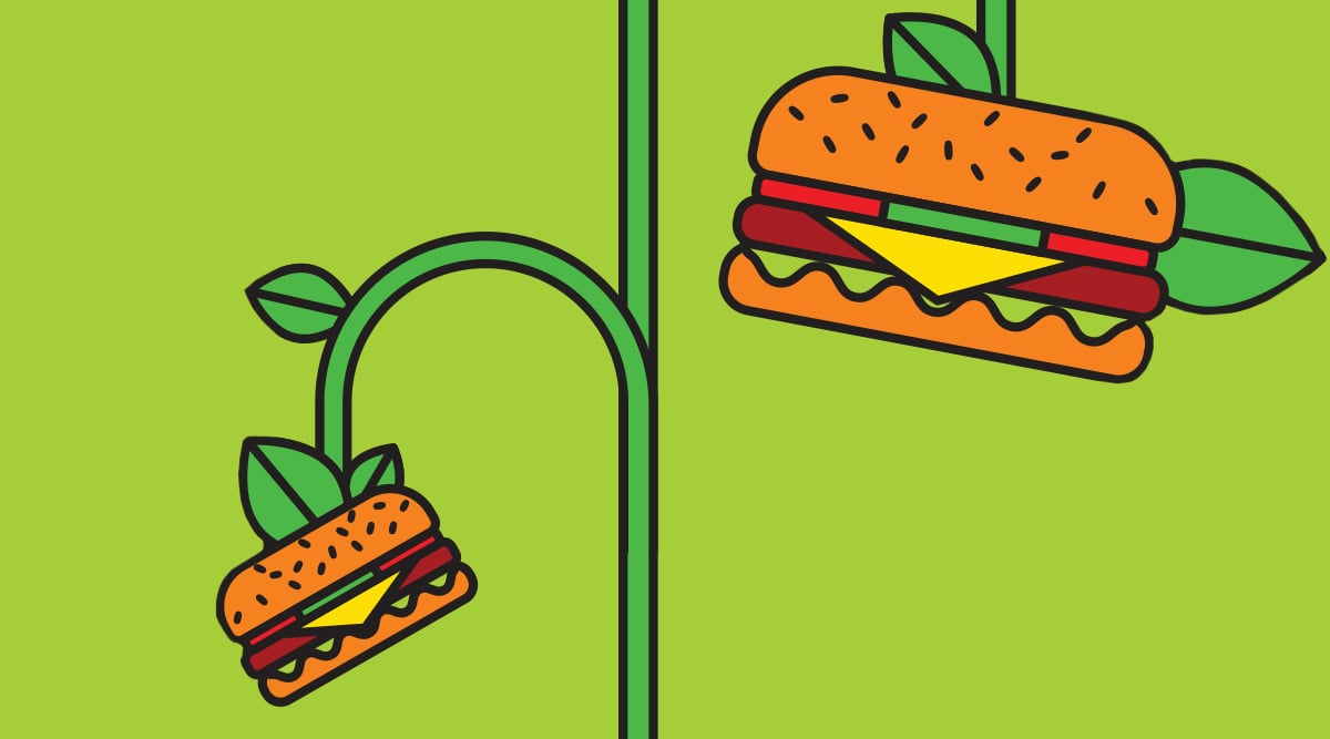 Illustration of Plant-based burgers growing on the vine.