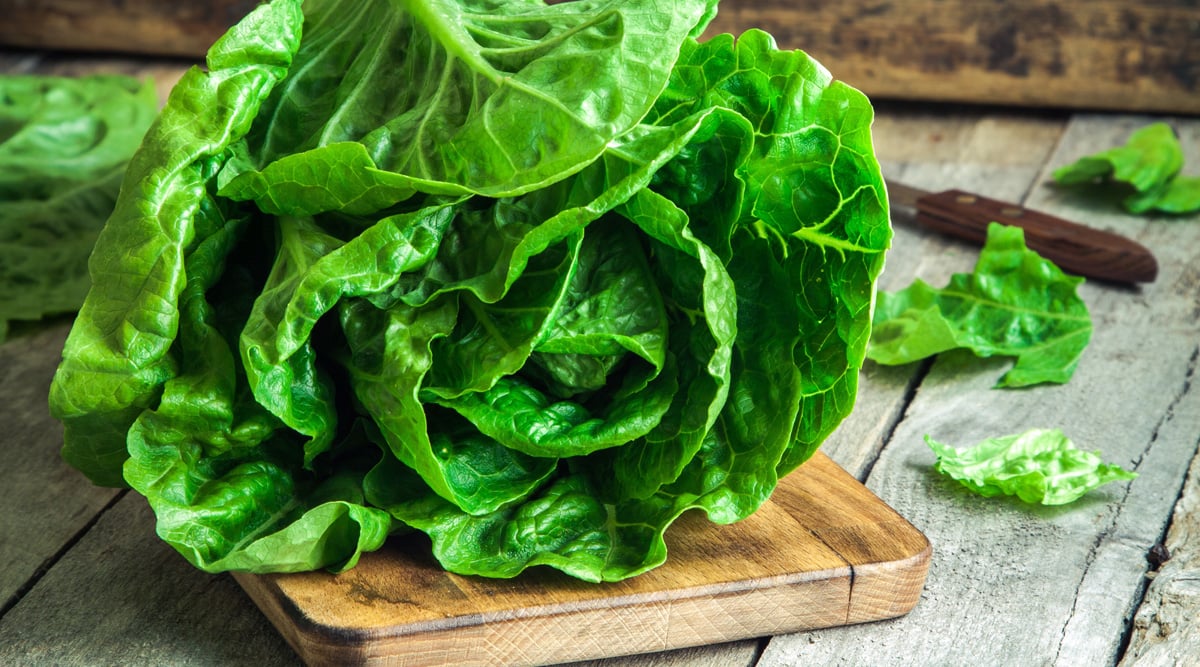 Lettuce