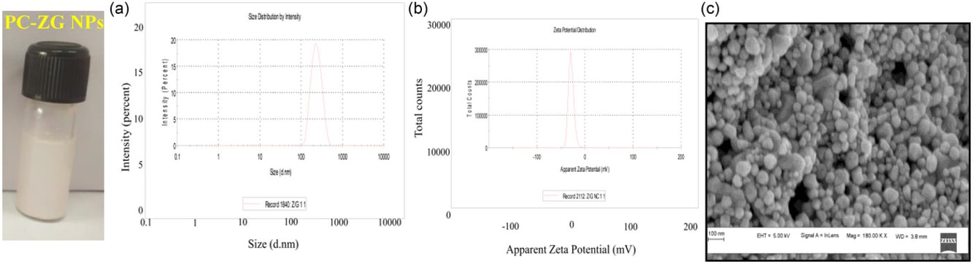 Coencapsulation B6, B12