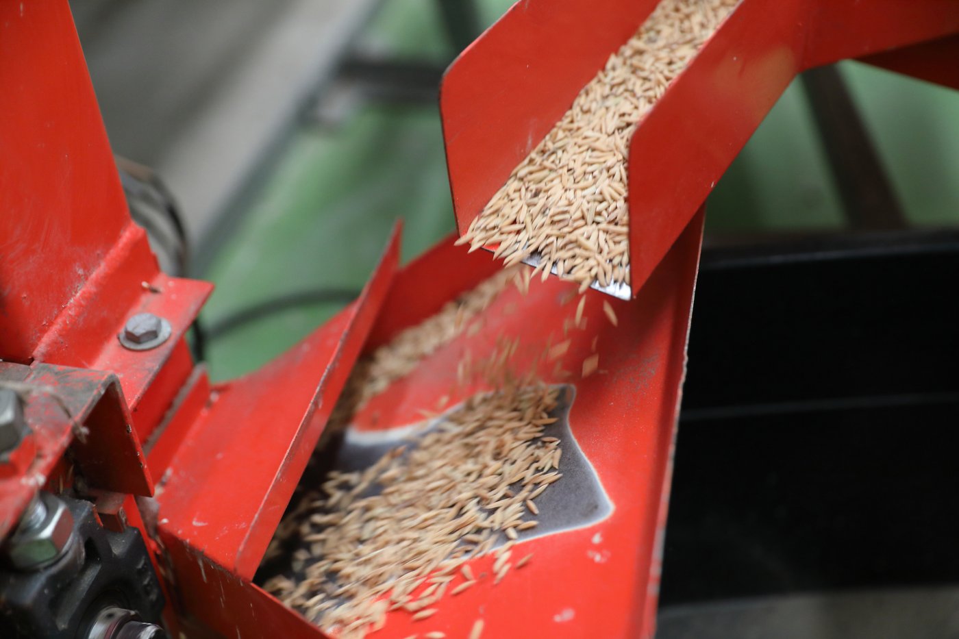 Factory machine milling rice