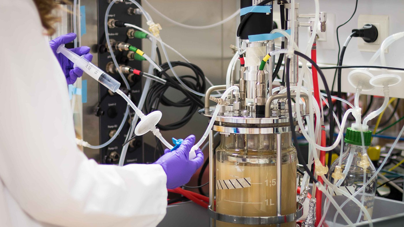 laboratory fermentor