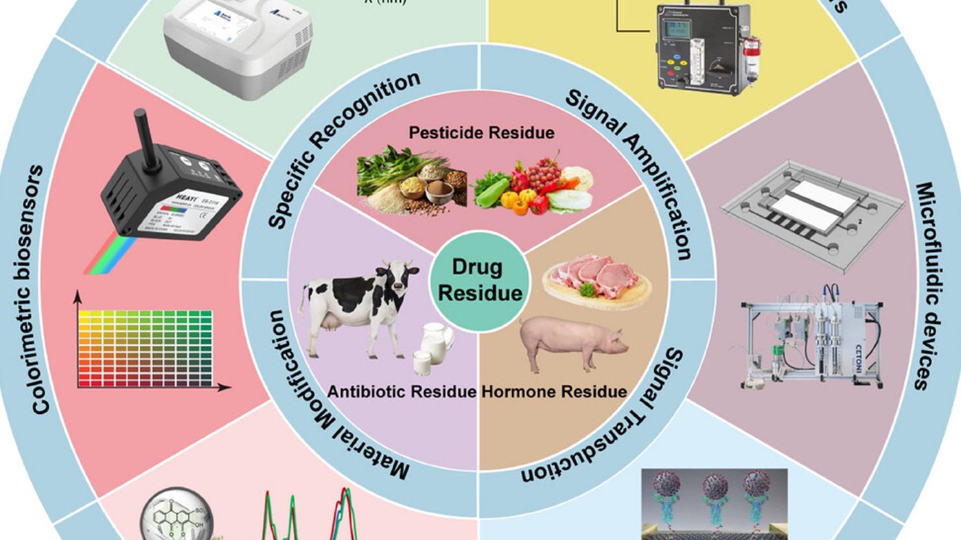 Biosensing strategies based on click chemistry for chemical residue detection in food.