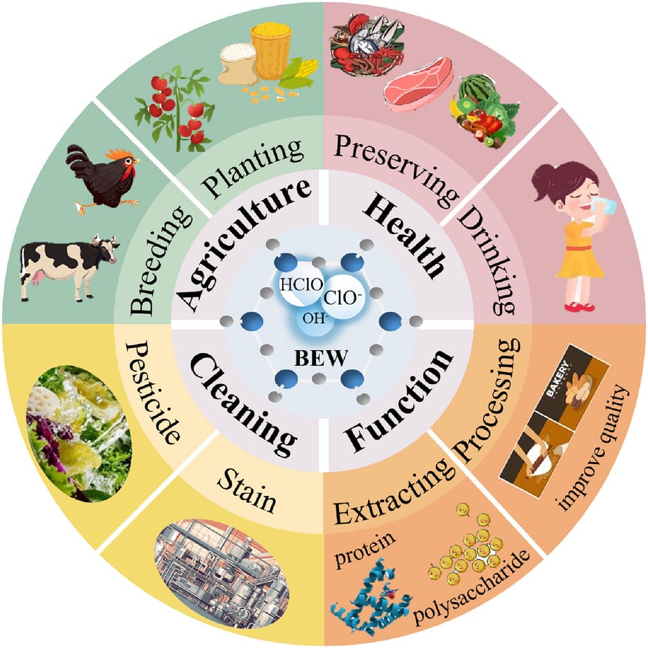 Multifaceted applications of ALEW/BEW in the food industry.