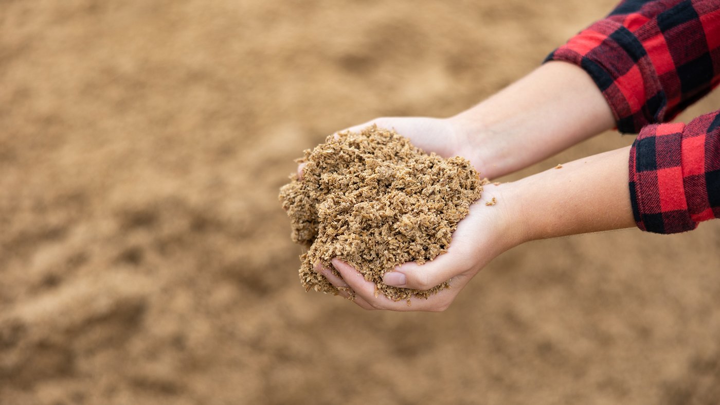 farmer holding pile of brewer's spent grain