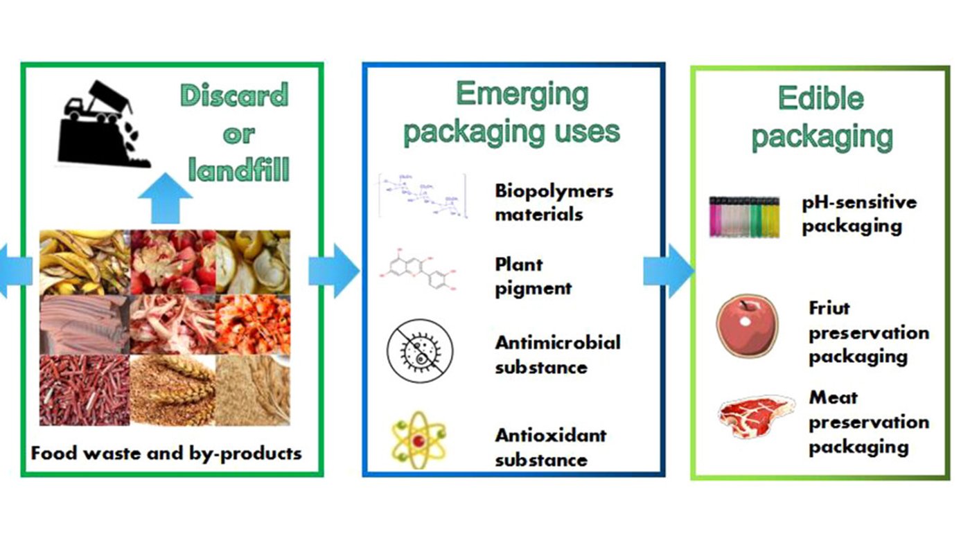 Recycling of food waste and byproducts (FWBP) and their current main utilization methods.