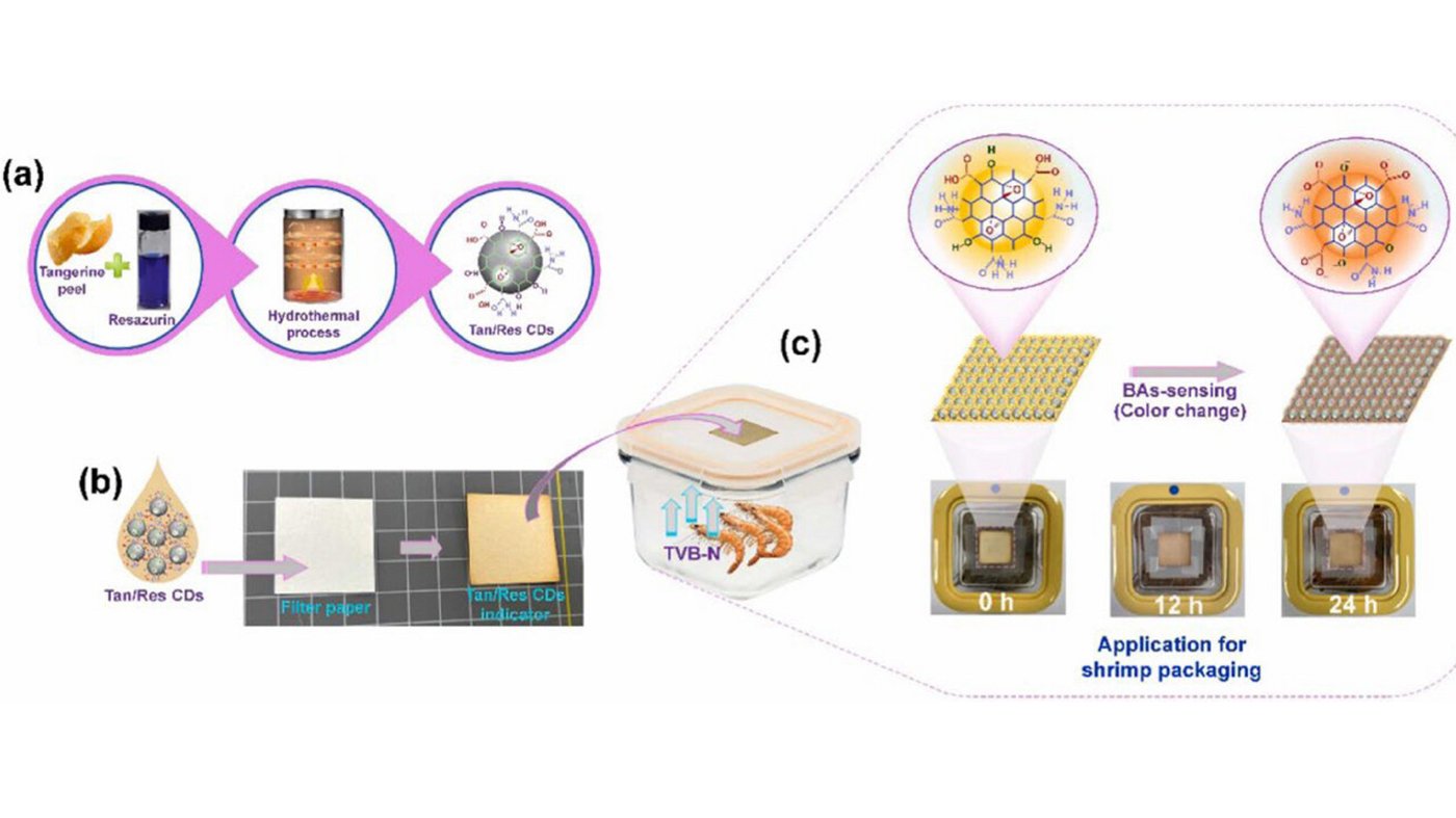 Schematic illustration of (a) carbon dots (CDs) synthesis, (b) preparation of CDs-based paper indicators, and (c) their application on shrimp packaging.