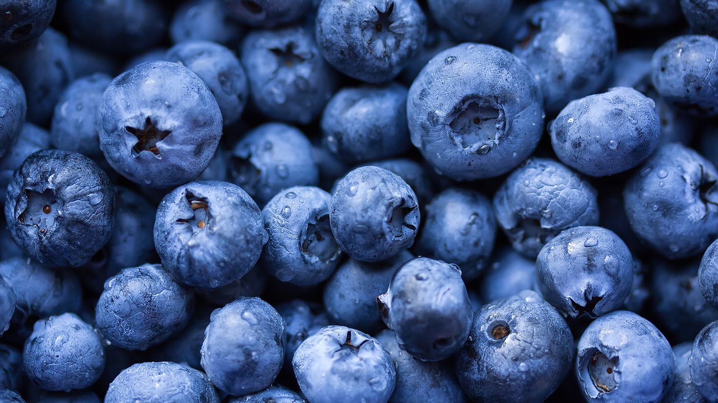 Close up of fresh blueberries.
