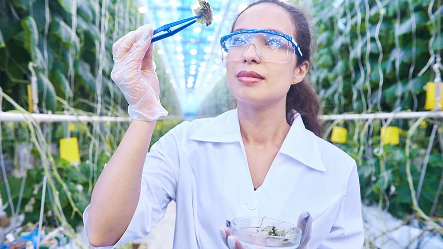 Woman examining Food with Safety Glasses