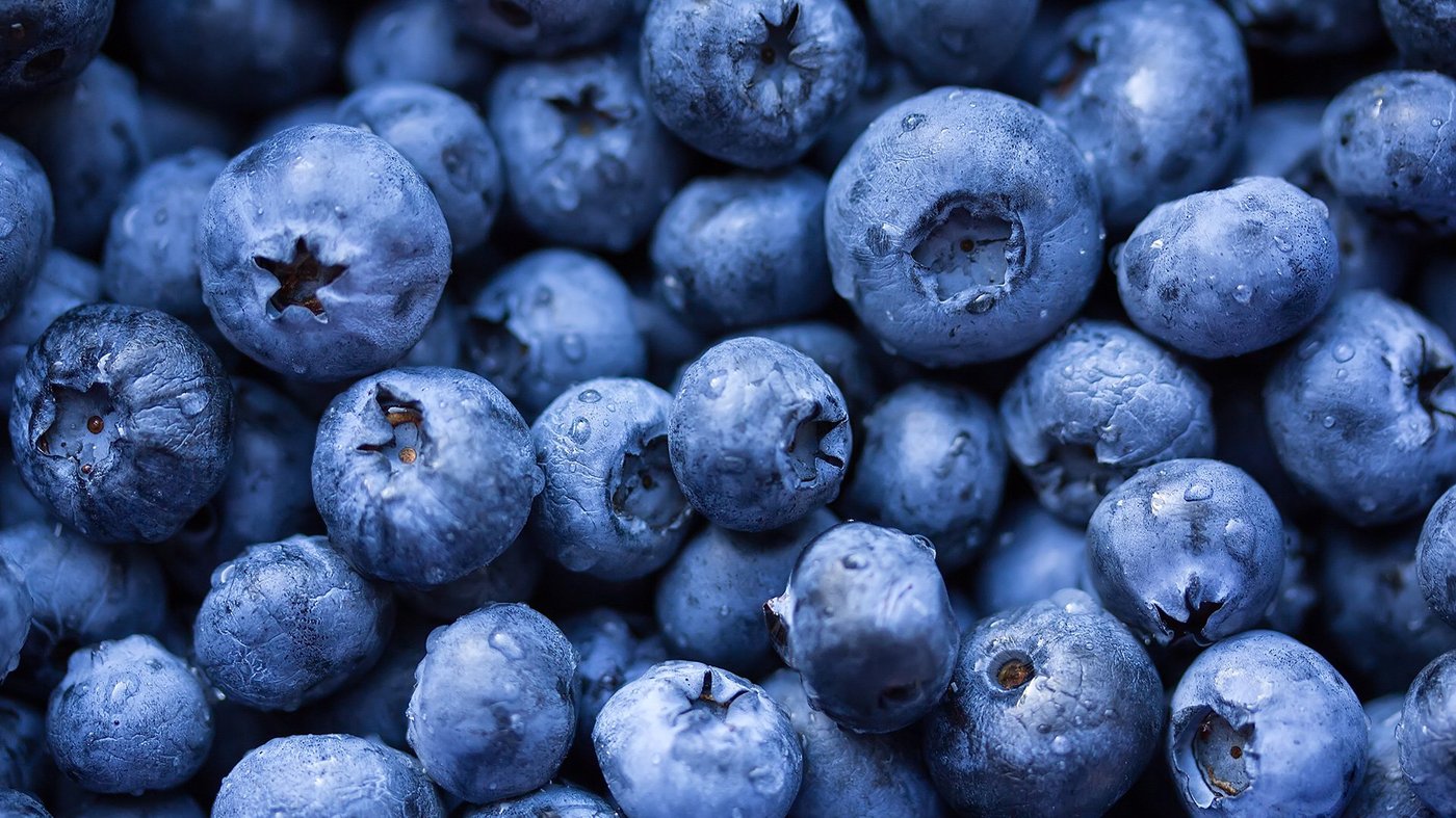 Close up of fresh blueberries.