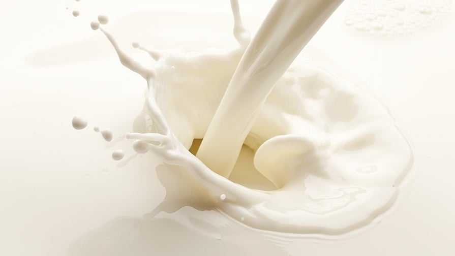 dairy