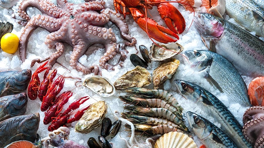 Different Colorful Seafood on a bed of ice
