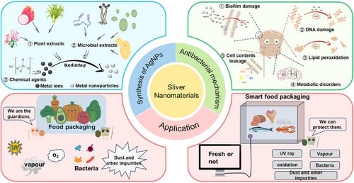 Antimicrobial Mechanisms CRFSFS