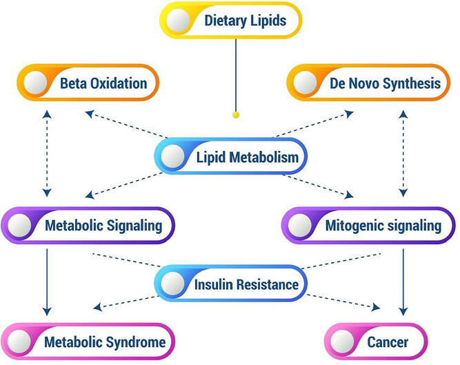 Sustainable Algal Lipids