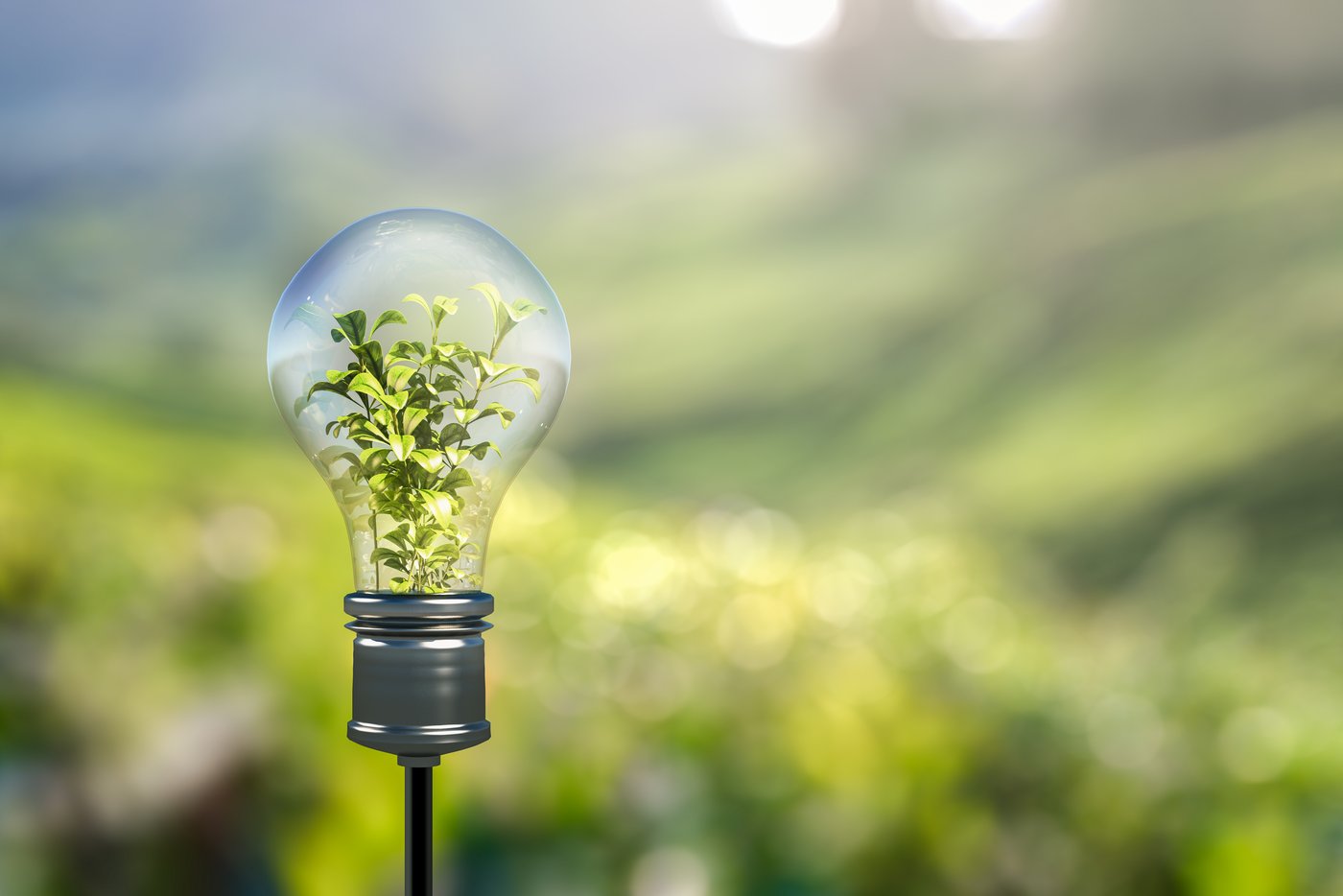 Concept_Lightbulb_WithPlantInside