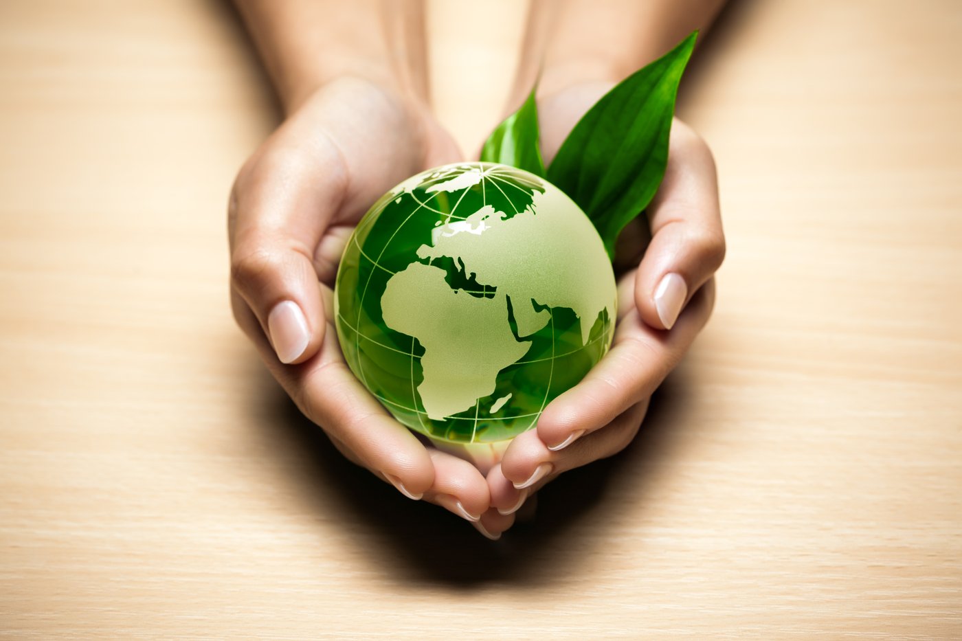 Worlds_Hands_Holding_Globe_Heart_Shaped_Hands_Leaf