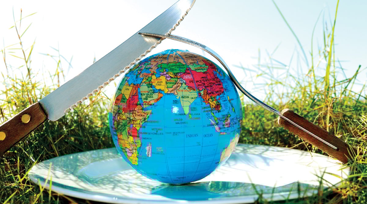 Earth globe in a plate with a knife and a fork over it on grass with sky as background.