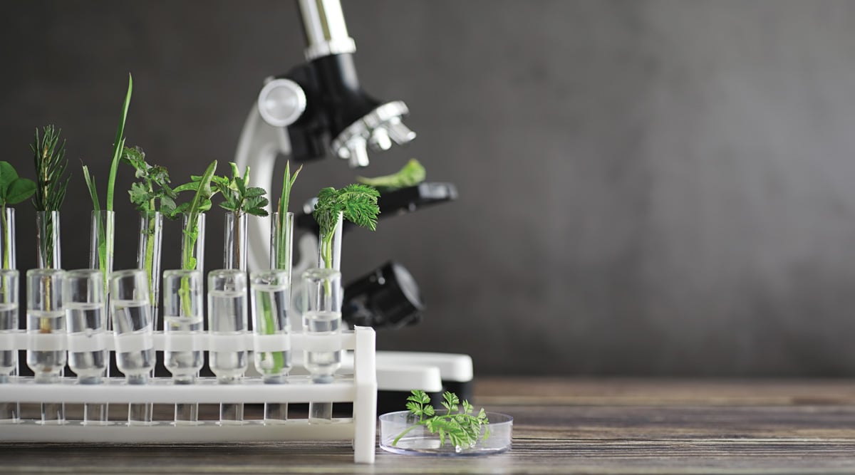 Microscope and partings on the table in the laboratory
