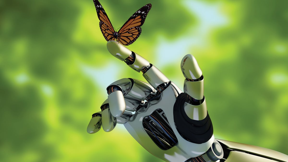 The mechanical arm and a butterfly.