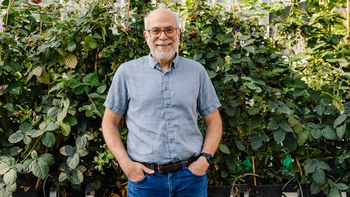 Tom Adams, Cofounder & CEO, Pairwise