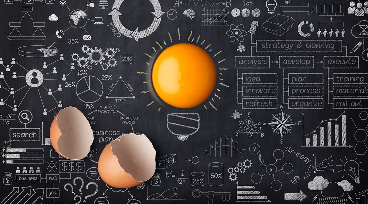 An egg yolk and egg shells on a chalkboard.