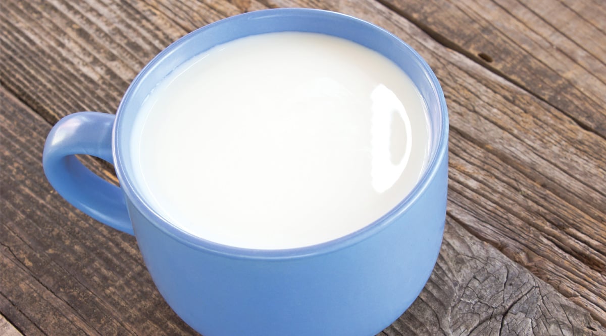 Cup of Milk