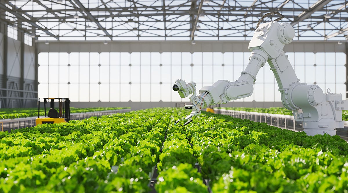 AI technology used in farming