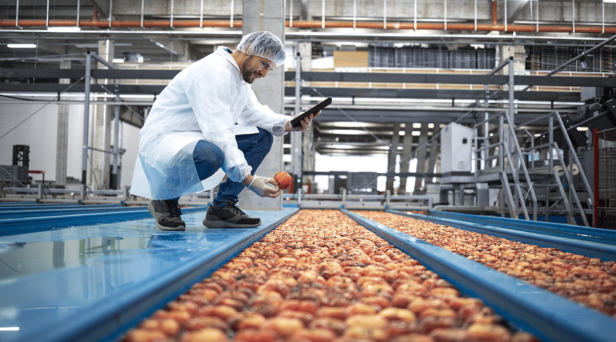 technician in a food processing plant checks inventory