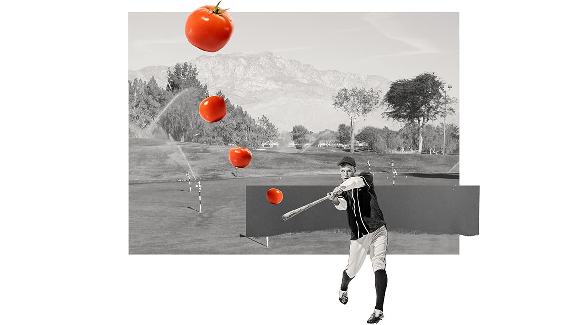 Black and white baseball player hitting a red tomato.