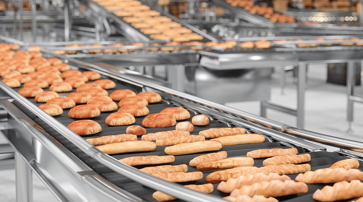 Loaves of bread on a conveyor belt.