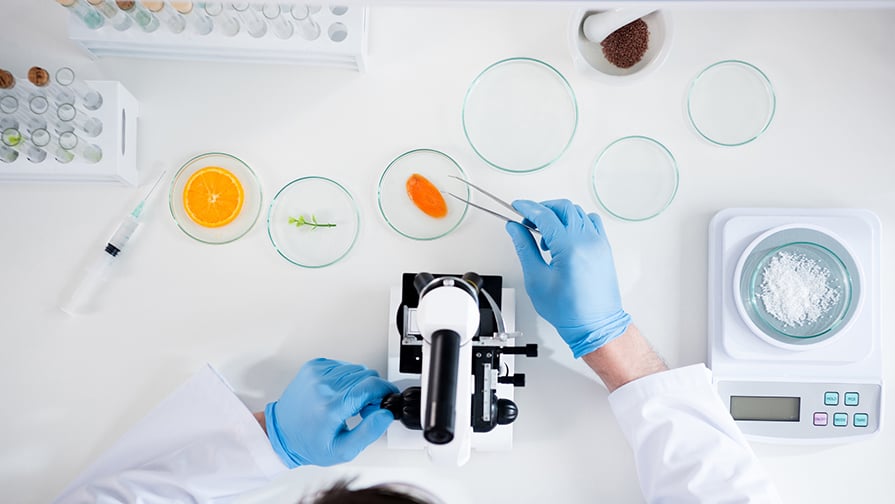 Omnivore Podcast Episode 9 a scientist inspecting and measuring ingredients in a lab