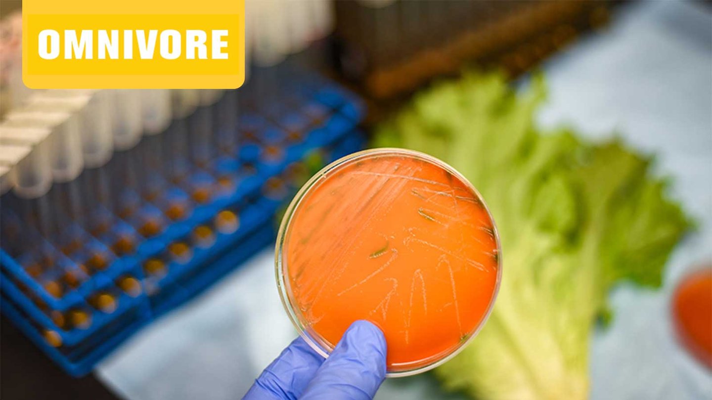 Omnivore EP 14 scientist holding a petri dish