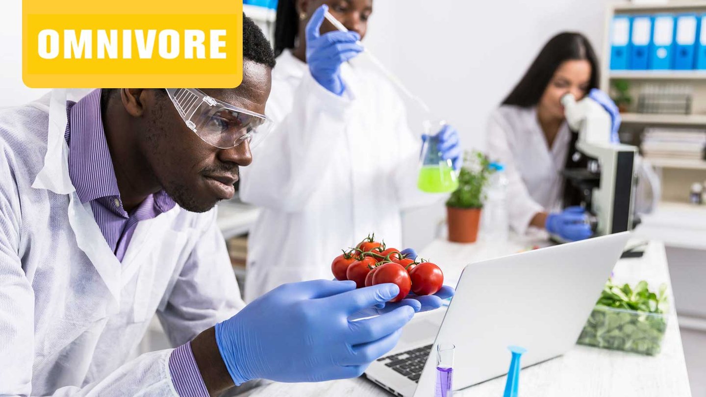 Omnivore EP 17 three food scientists in a lab inspecting tomatoes, pipetting from a beaker, and looking through a microscope