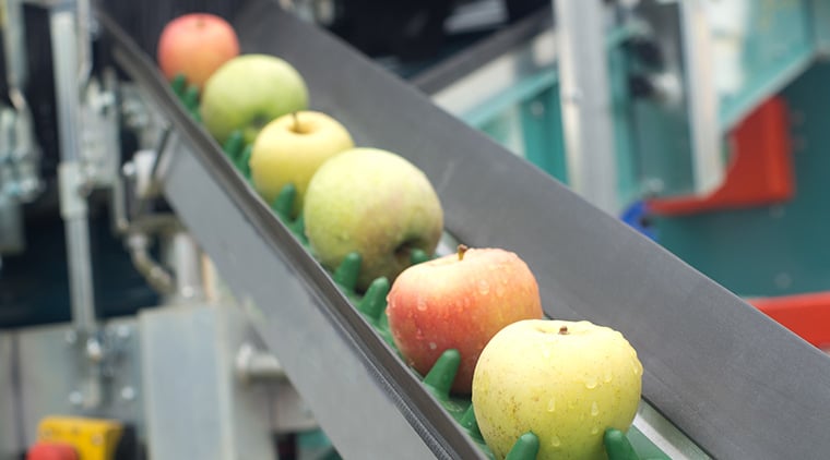 Foodsafety Applesonconveyorbelt