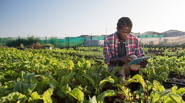 Gftc Fda Tech Enabled Traceability Report