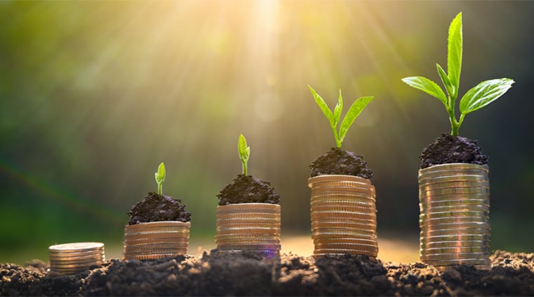 Compensationcareerpathreport X