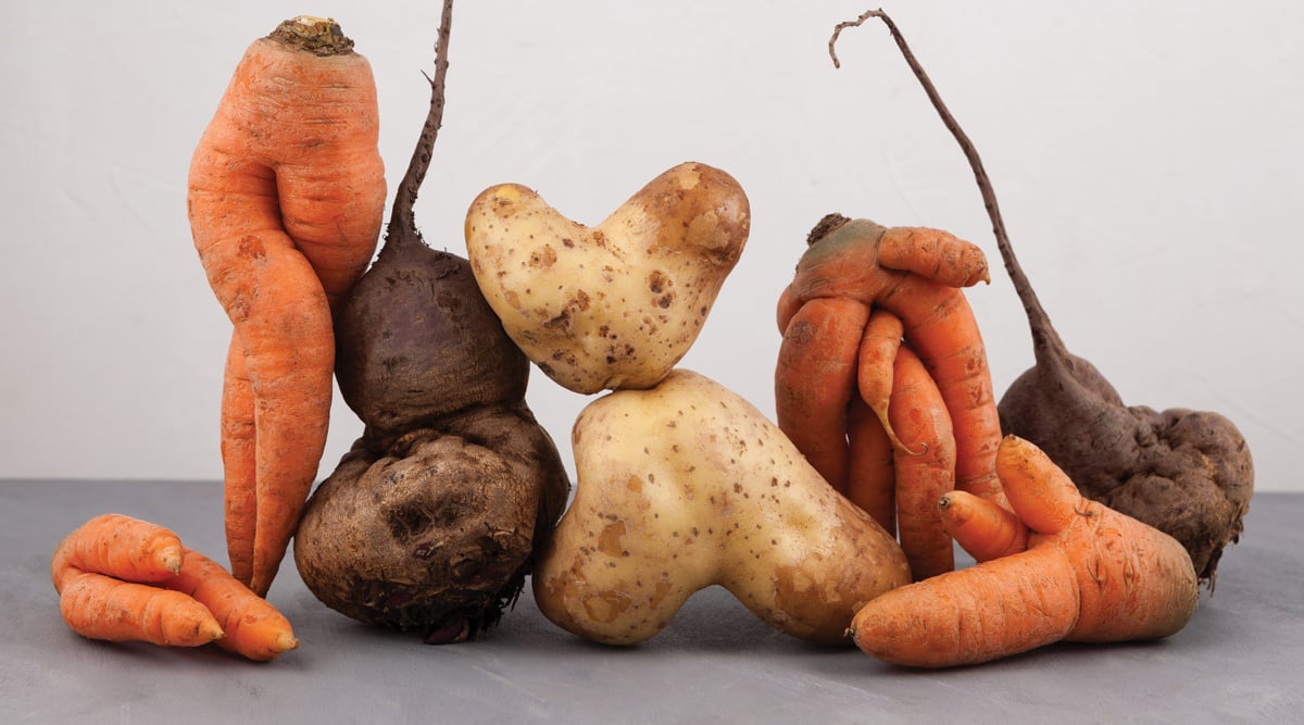 Ugly vegetables